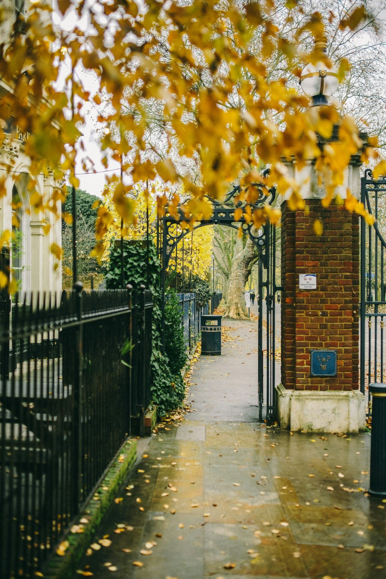 An open iron gate between black railings and a brick pillar leads onto a wet path scattered with yellow autumn leaves.